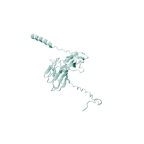 Human SLAMF2 (C-mFc, HEK293)